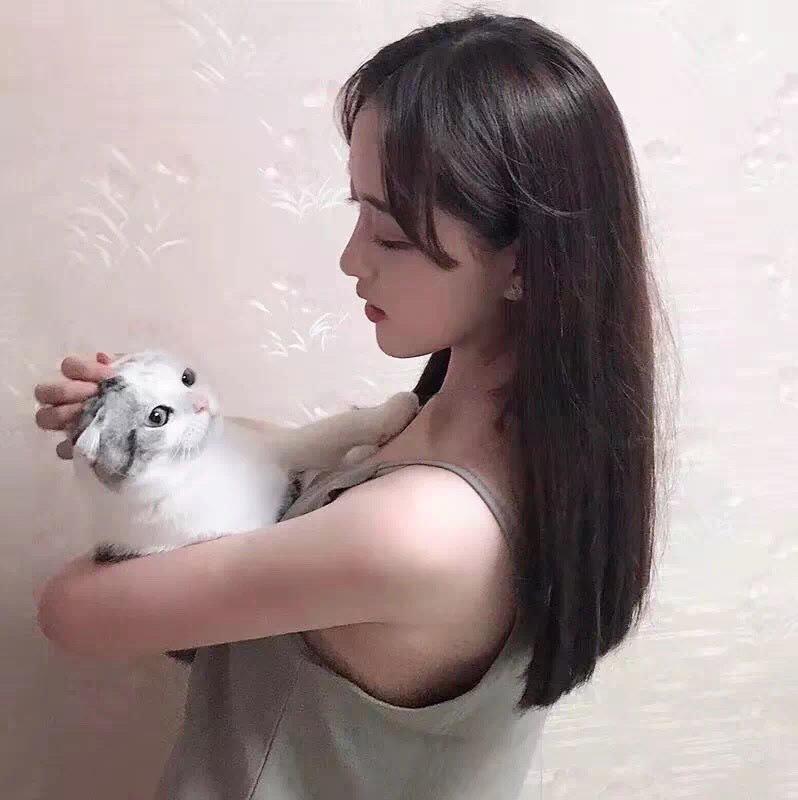 猎风行动